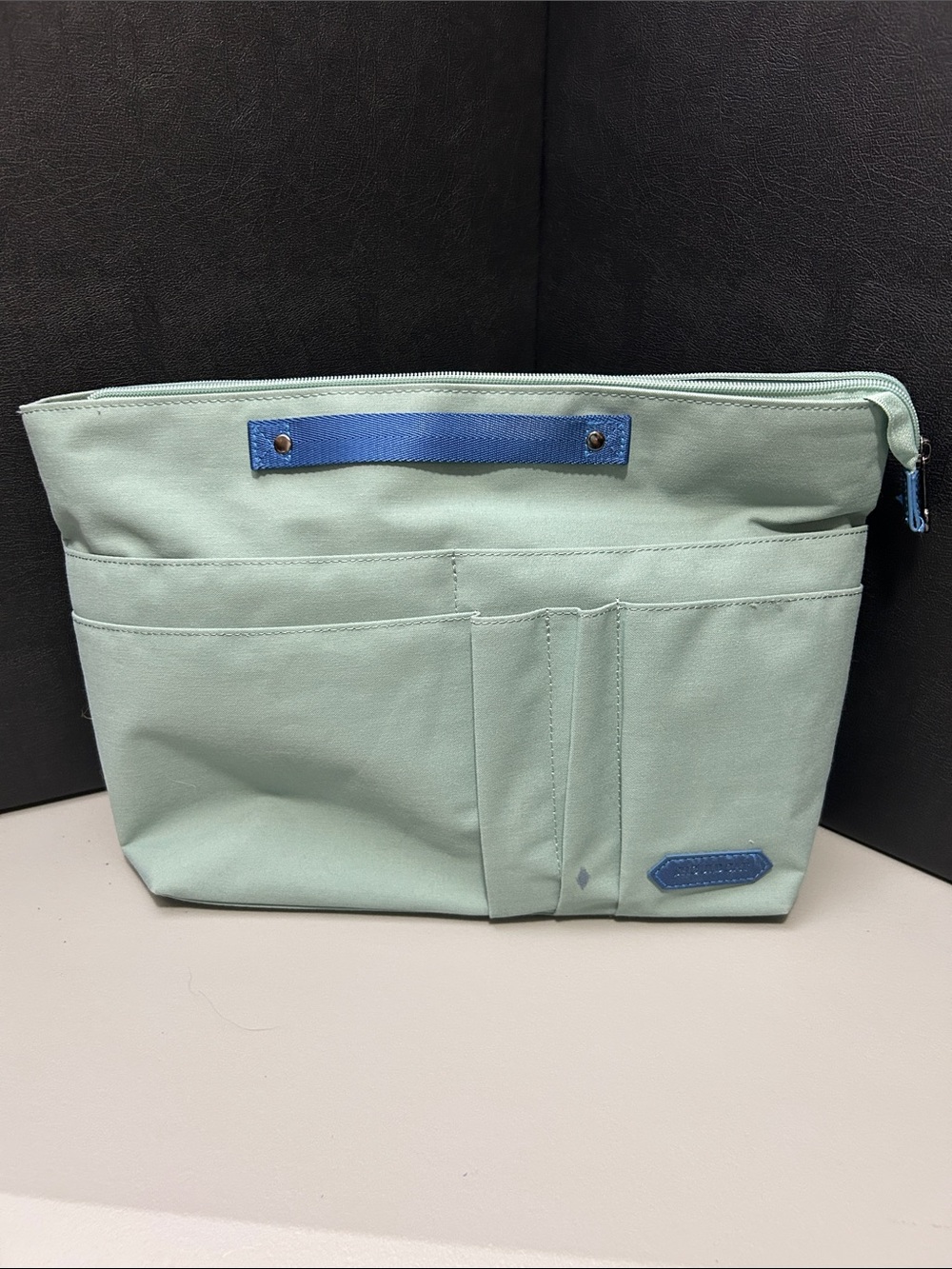 Bag Insert for Coach Brooklyn 39